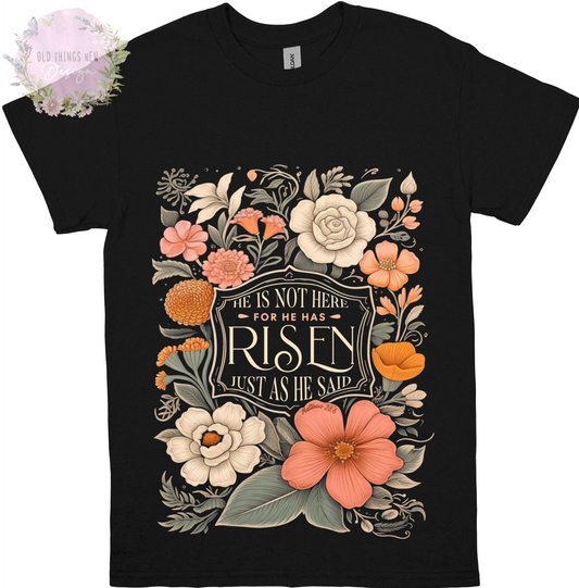 He Has Risen(Light) Adults T-Shirt