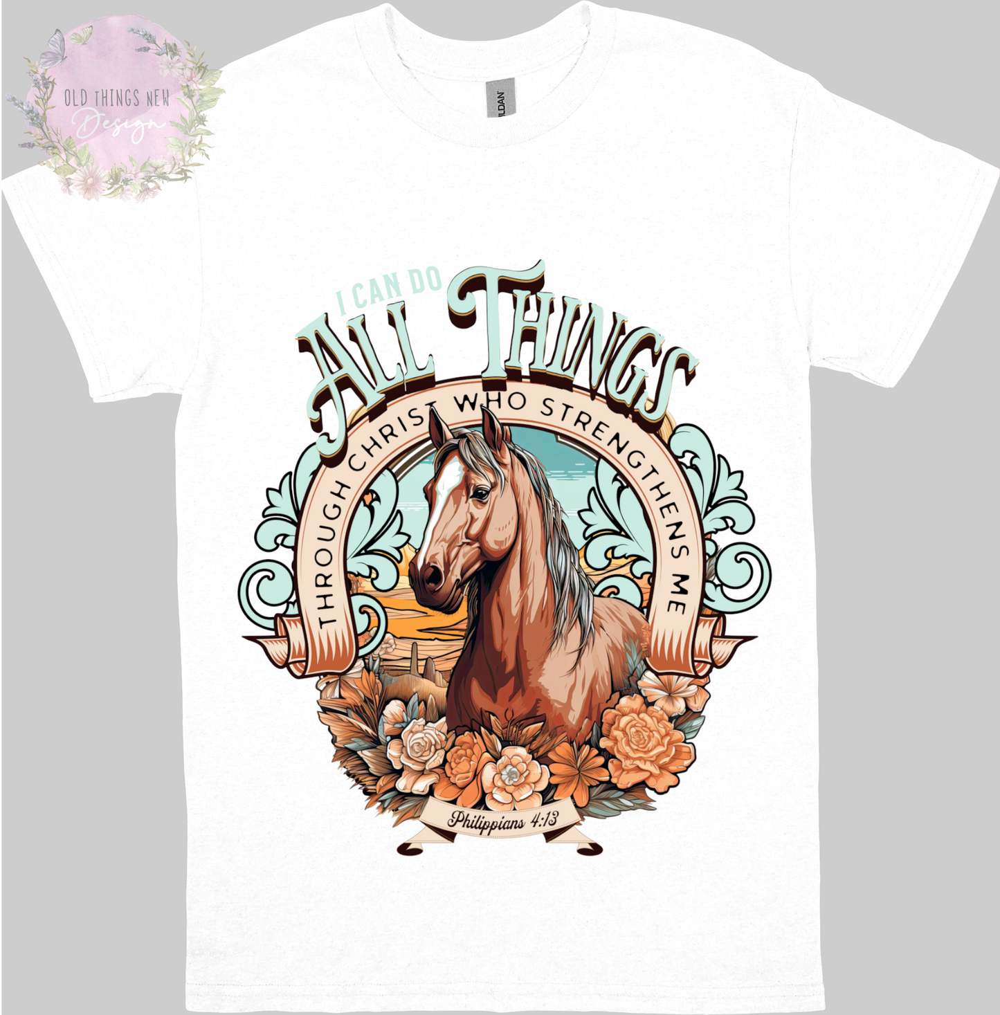 I Can Do All Things Adults T-Shirt