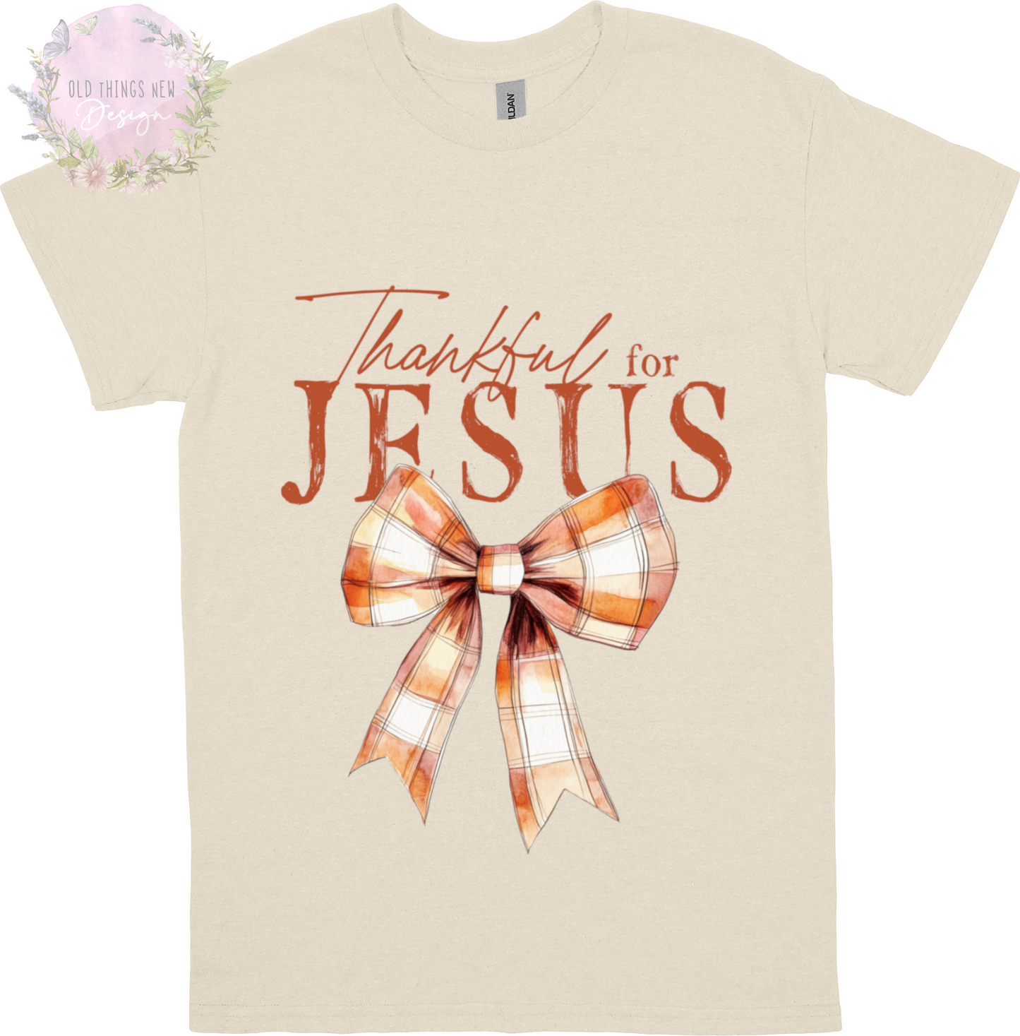 Thankful for Jesus (Rust) Adults T-Shirt