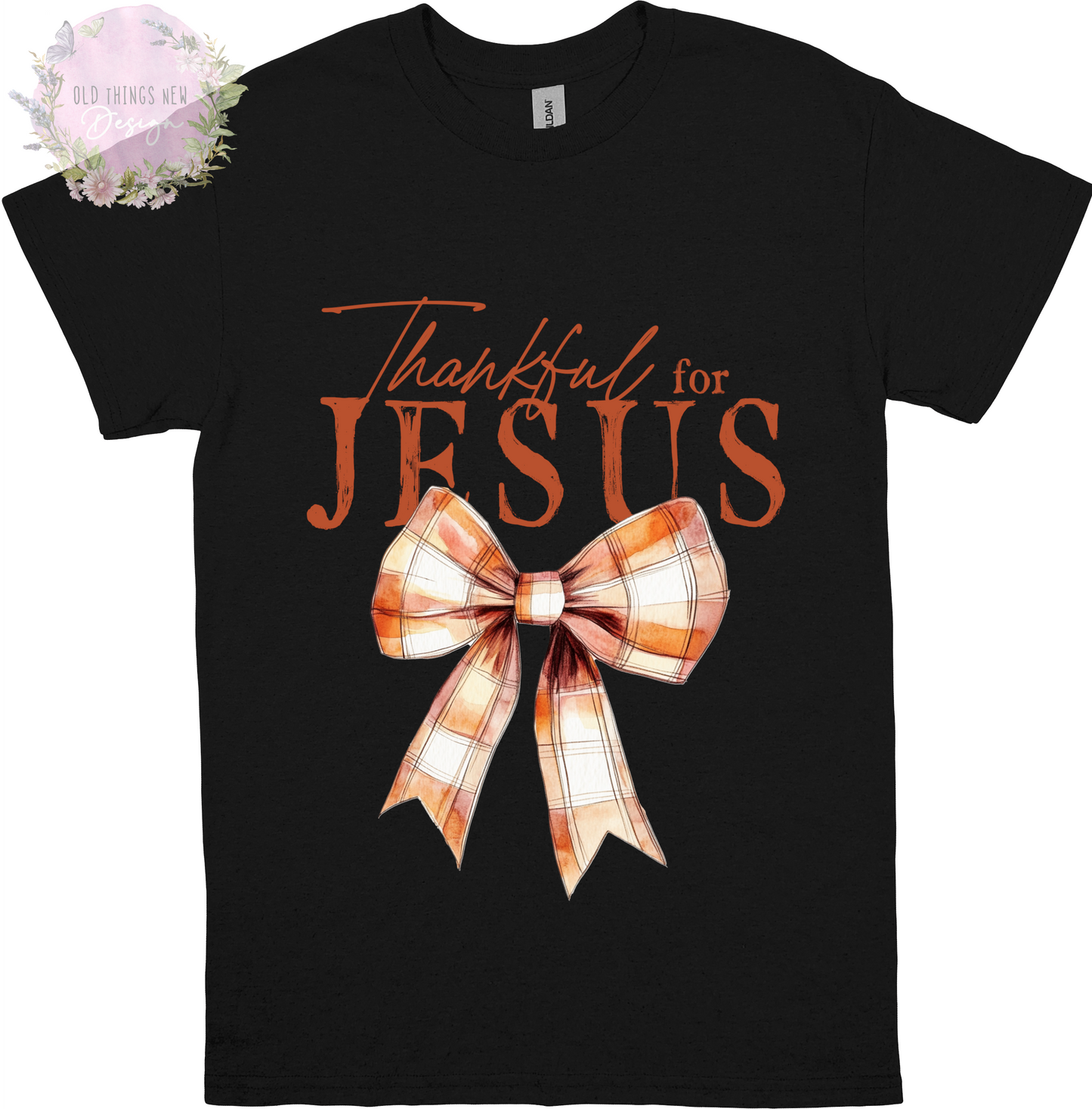 Thankful for Jesus (Rust) Adults T-Shirt