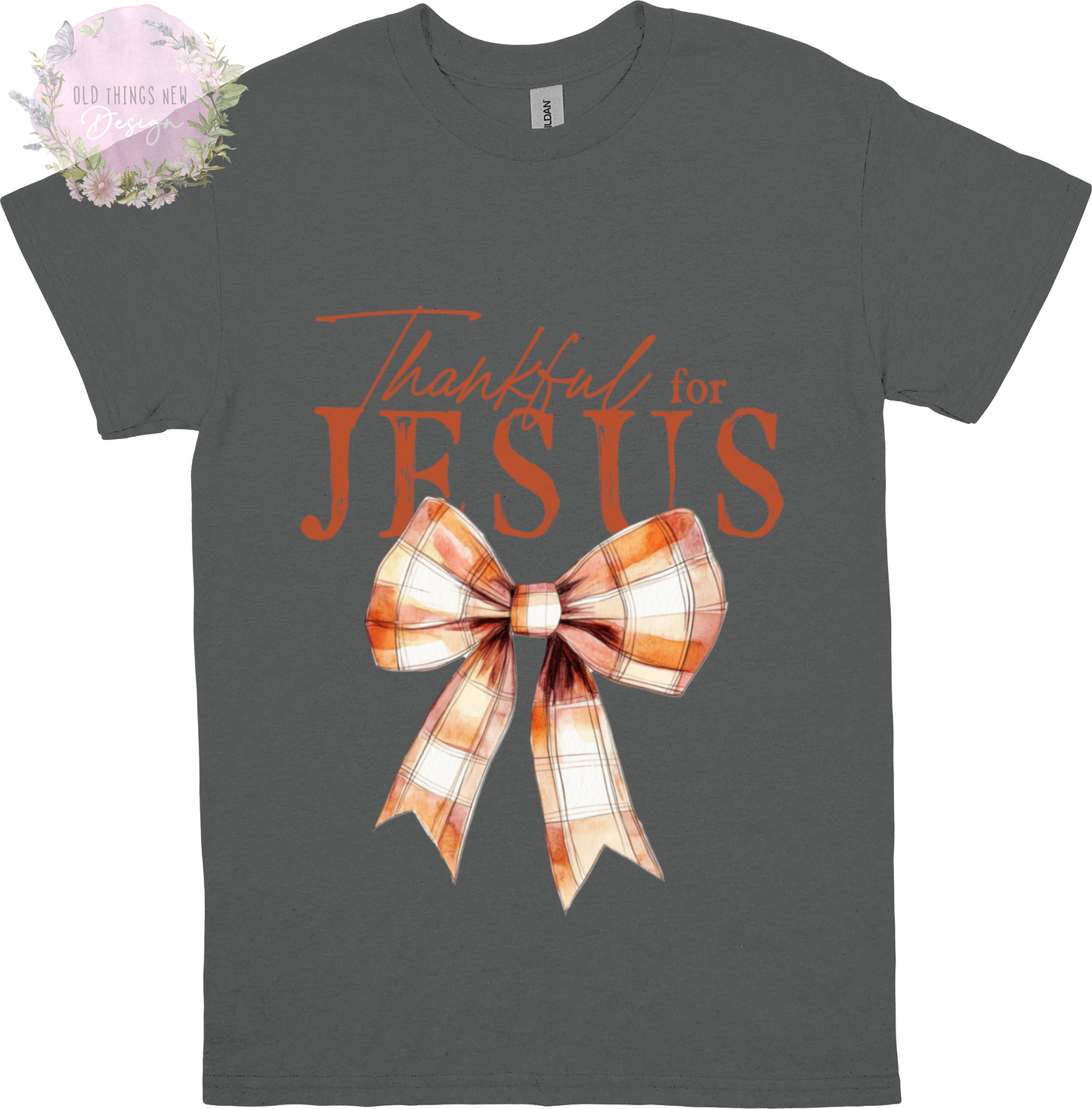 Thankful for Jesus (Rust) Adults T-Shirt