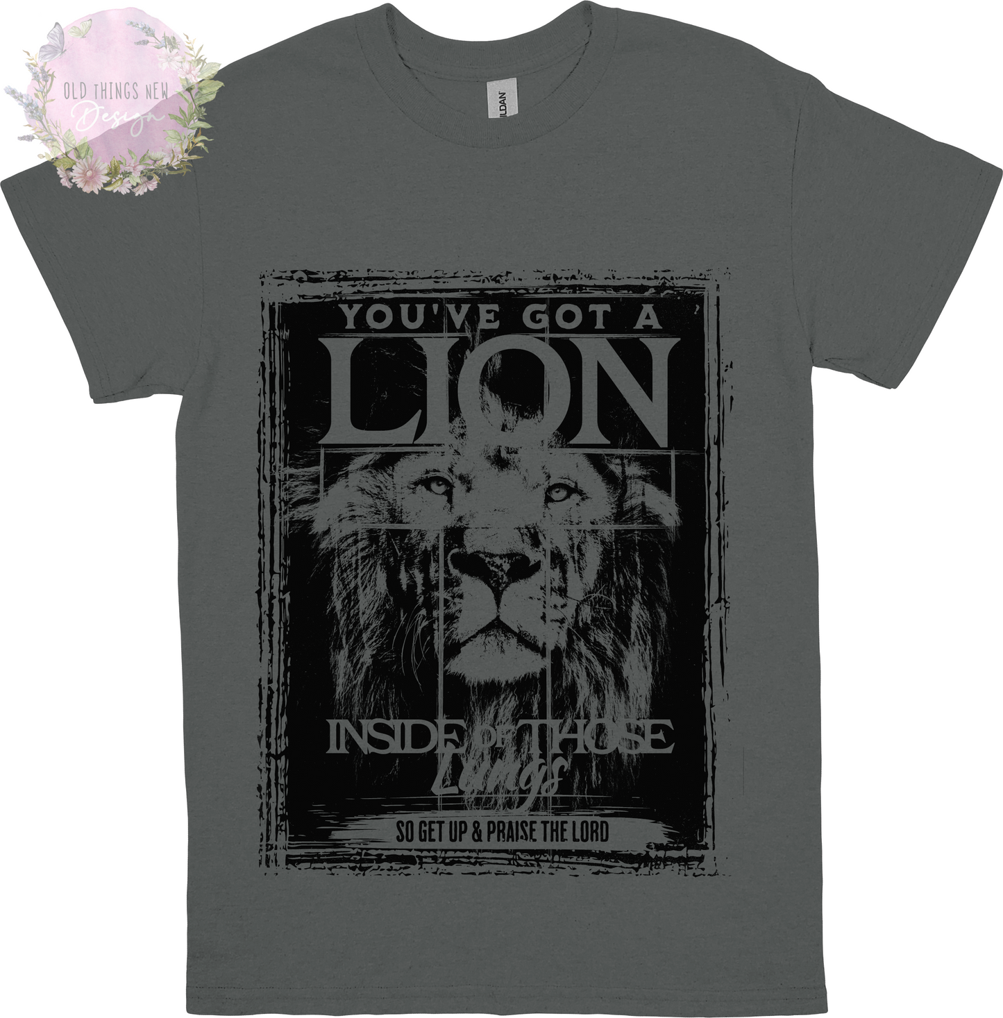 You've Got A Lion Vintage Rock Adults T-Shirt (Black)