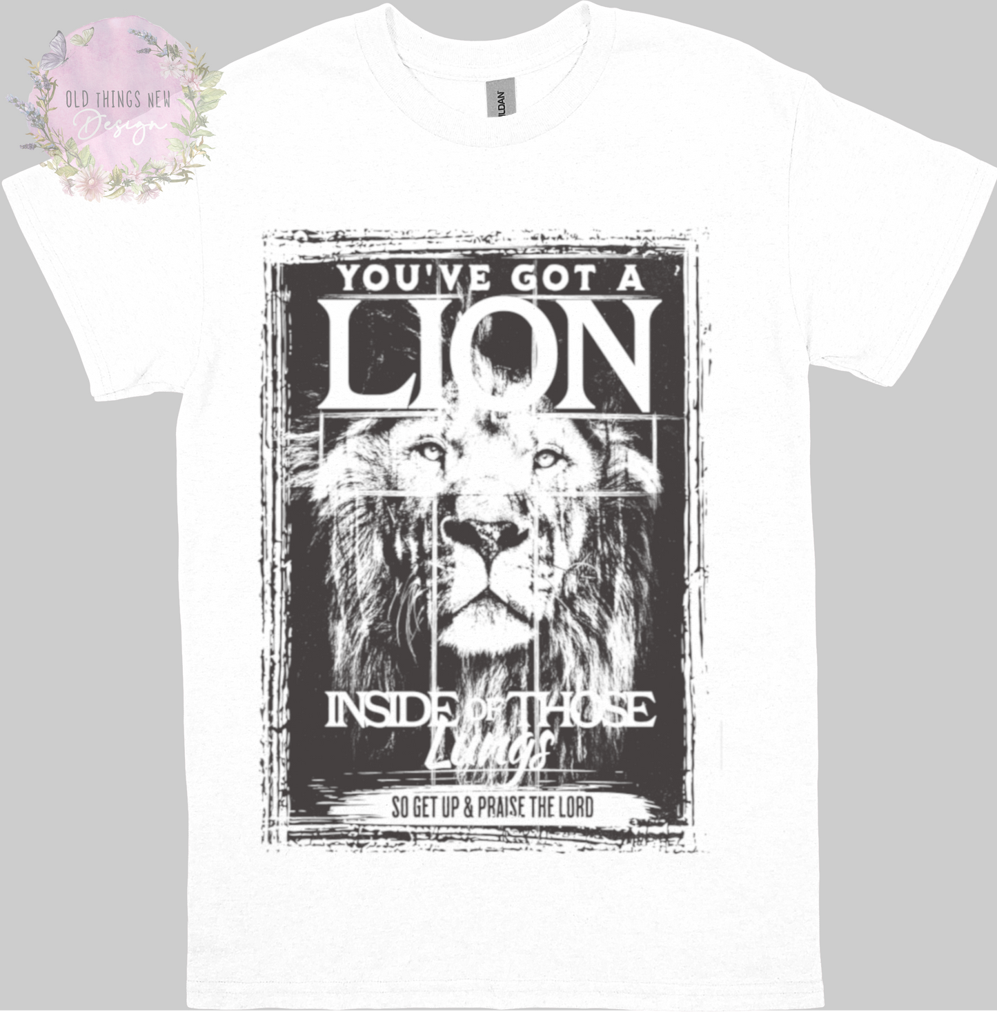 You've Got A Lion Vintage Rock Adults T-Shirt (Gray)