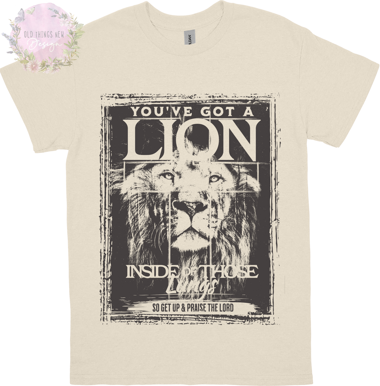 You've Got A Lion Vintage Rock Kids T-Shirt (Gray)