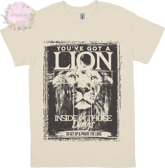 You've Got A Lion Vintage Rock Kids T-Shirt (Gray)