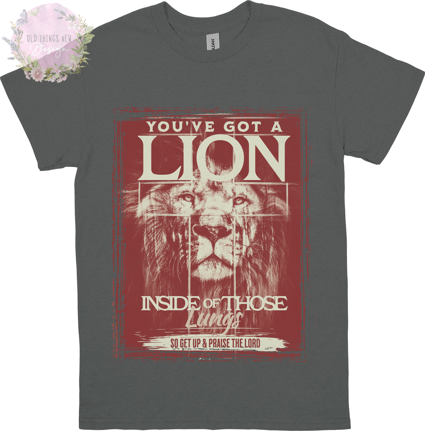 You've Got A Lion Vintage Rock Kids T-Shirt (Red)