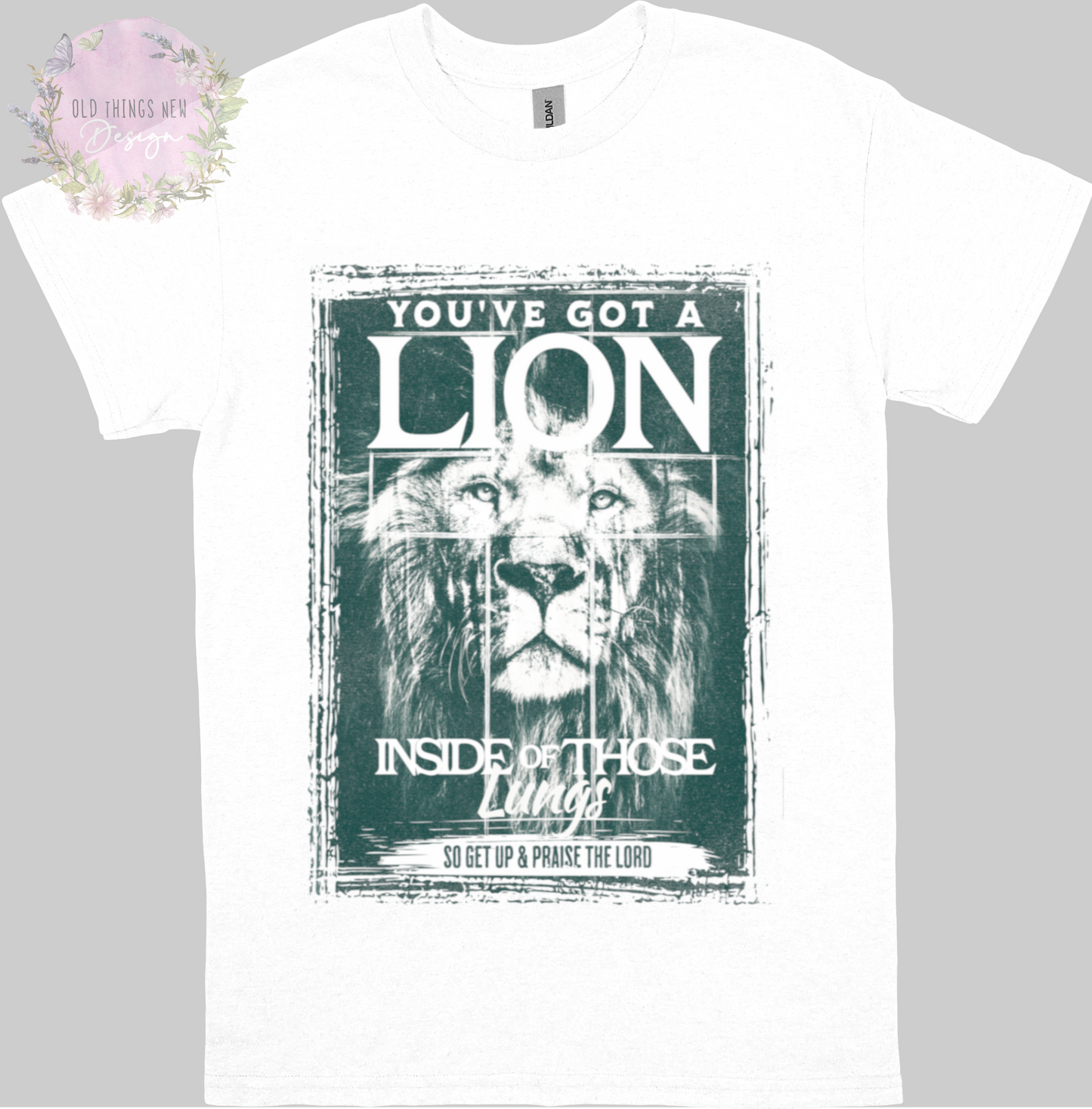 You've Got A Lion Vintage Rock Adults T-Shirt (Teal)